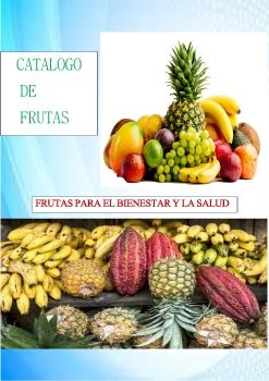 NUEVO CATALOGO