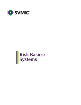 2022 Risk Basics - Systems