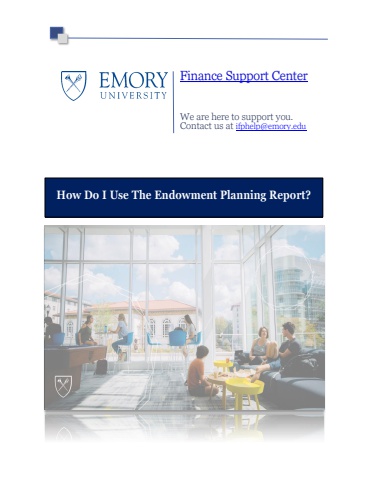 How Do I Use The Endowment Planning Report