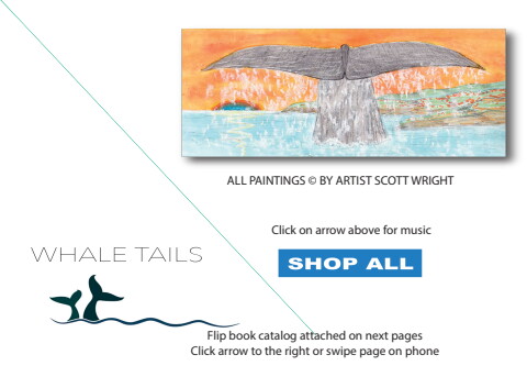 ready for flip book whale