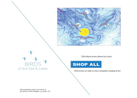 1 birds flip book binder page.pdf