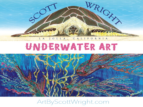 all turtles for flip book