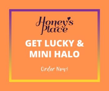 New Arrivals 1.9.2026