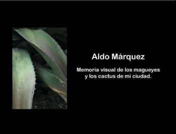 CATALOGO-MAGUEYES.1_Neat