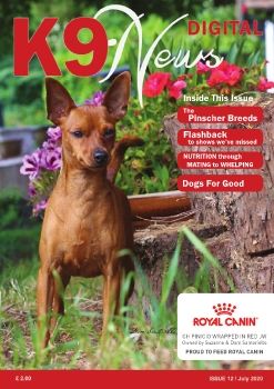 K9 News Issue 12 - July 2020