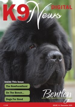 K9 News - Issue 14 - December 2020