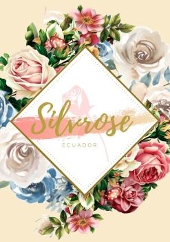 Catalogo Silvrose