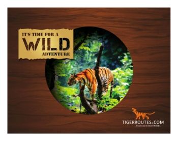 TigerRoutes.com - No#1, Wildlife Tour Operator in INdia