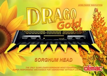 DRAGO GOLD Brochure