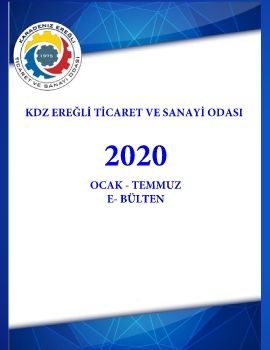 2020 OCAK- TEMMUZ