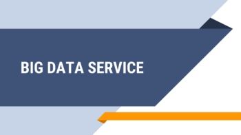 BIG DATA SERVICE