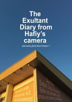 Exultant Diary (real)