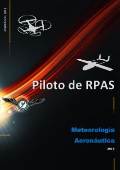 Piloto de RPAS