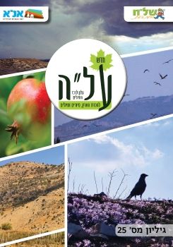 על״ה 25