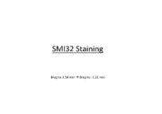 Microsoft PowerPoint - SMI32 version 2