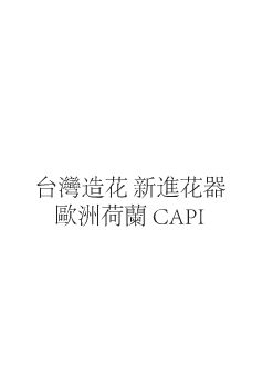 台造capi型錄