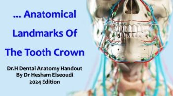 DrH Dentition Handout 4 Anatomical Landmarks Of The Tooth Crown