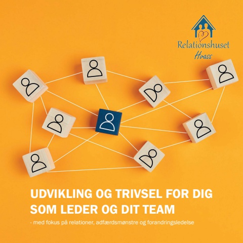 relationshuset_Udvikling_og_Trivsel_for_dig _som_leder_ og_dit_team_Online_pdf