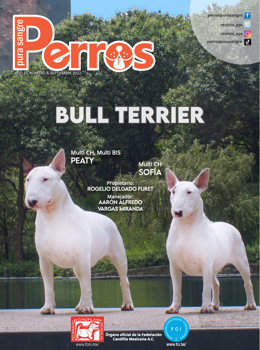 Bull Terrier | Septiembre2022