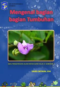 Mengenal Bagian Tumbuhan