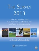 The Survey 2013