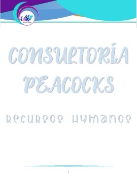 CARPETA CONSULTORÍA 1.1 