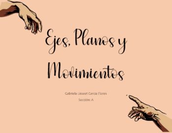 Ejes, Planos y Movimientos