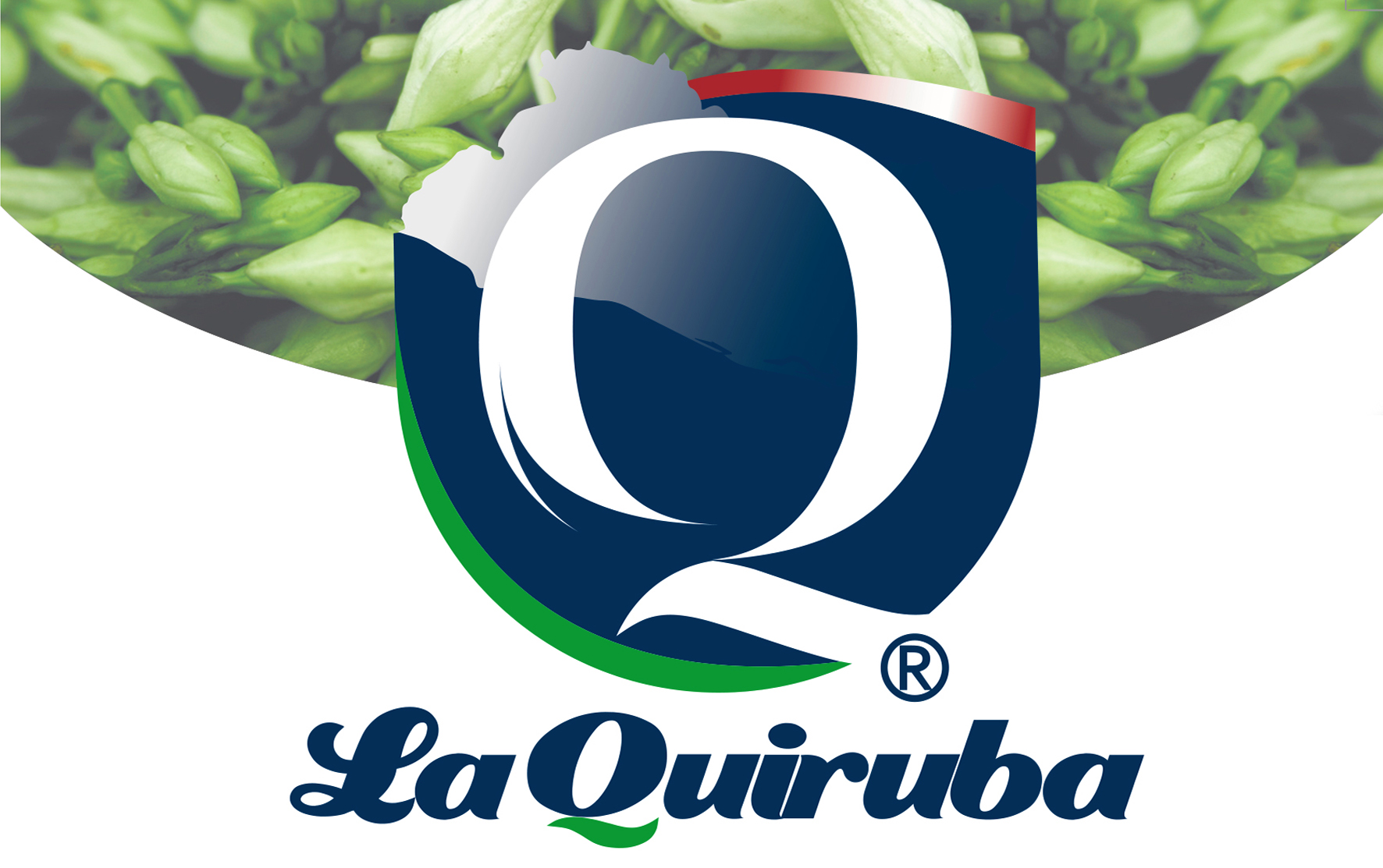 Catalogo Quiruba