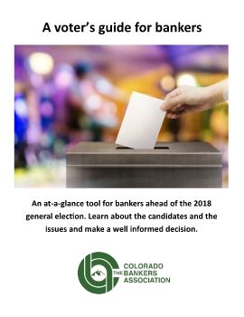 voter guide 2018