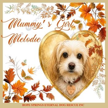 Mummys Girl  Melodie