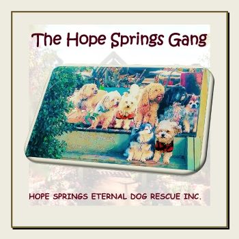 The Hope Springs Gang