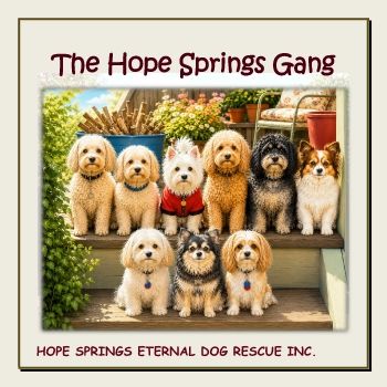 The Hope Springs Gang Book 2026