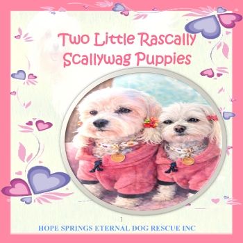 Two Little Rascally Scallywag Puppies Book