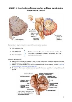 UNIT 3