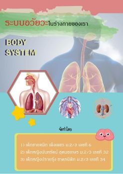 BODY SYSTEM V3