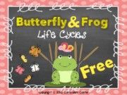 LifeCycleSequencingCardsButterflyandFrog