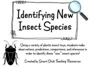 Identifying New Insect Species