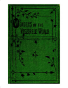 Wonders of the vegetable world