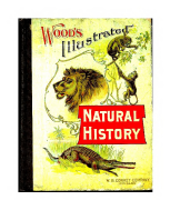 Wood's Natural history for children