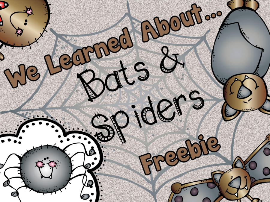 WeLearnAboutBatsSpidersFreebie