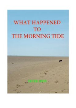 What Happened to the Morning Tide