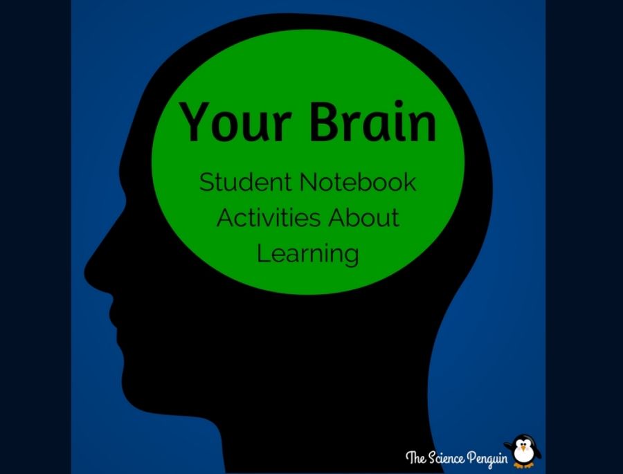 YourBrainStudentNotebookActivitiesAboutLearning