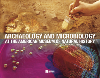 Archeology and Microbiology