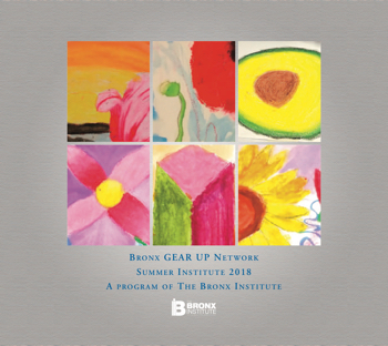 BGUN Summer Institute Lehman Art Gallery