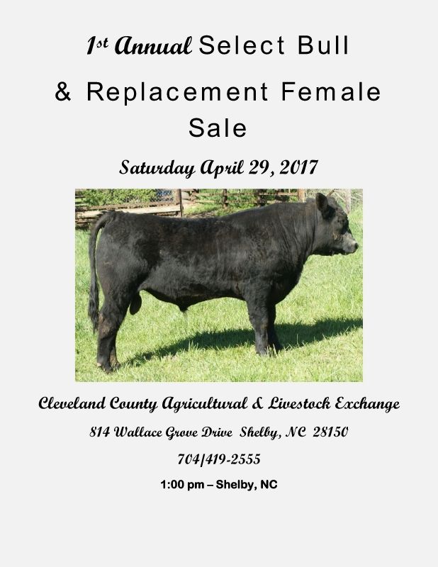 April 29 2017 Sale Catalog Magazine
