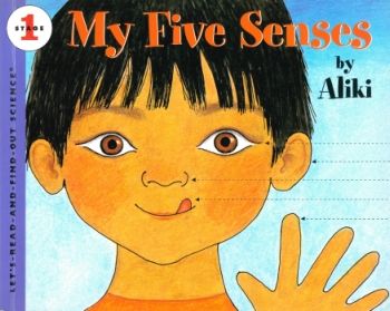 My Five Senses