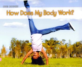  How does my body work