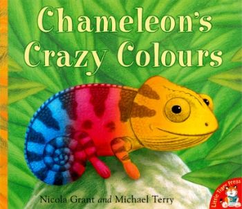 Week 11_Chameleon_s Crazy Colours