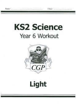 Y6 KS2 Science Light