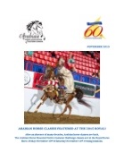 AHAEC - November 2015.docx